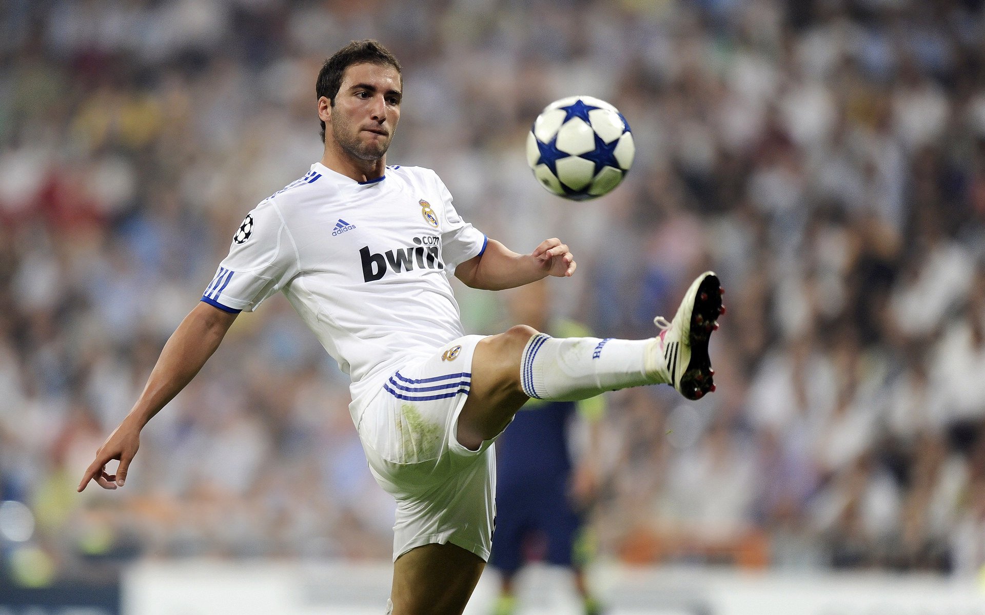 世界杯：球迷为当地小店手绘球队旗帜 增加招揽顾客的氛围感